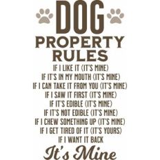 Dog Property Rules