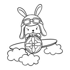 Bunny pilot