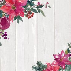 Poinsettia arrangement background