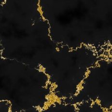 Black and Gold luxury marble background