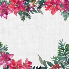 Poinsettia Fabric background