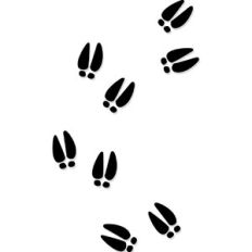 Reindeer Tracks