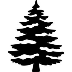 Pine Tree