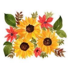 Autumn / Fall Thanksgiving Watercolor Sunflower Arrangement