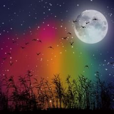 Moonlit Rainbow Sky Field