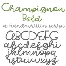 ZP Champignon Bold