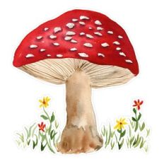 Red Watercolor Fall / Autumn Mushroom with Flowers