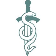 sword with snake