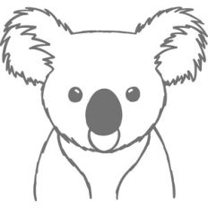 koala