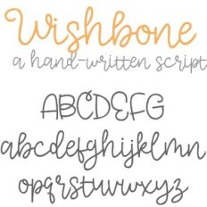 PN Wishbone
