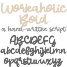 PN Workaholic Bold
