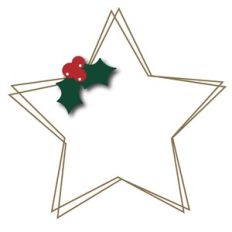 holiday star wire frame