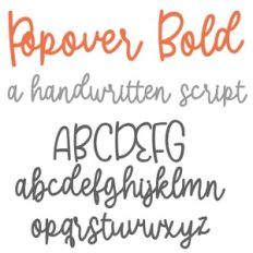 PN Popover Bold