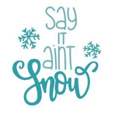 Say It Aint Snow