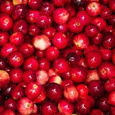 Thanksgiving Cranberries Background