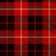 Christmas Plaid Texture