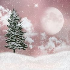 Pink Christmas Tree Forest