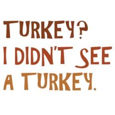 turkey? i didn't see a turkey.