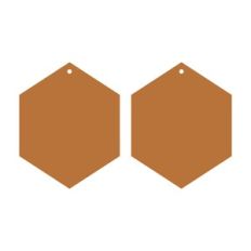 Hexagon faux leather earrings