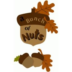 bunch of nuts title piece