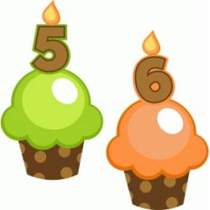birthday cupcakes 5 and 6