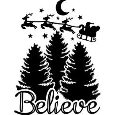 santa claus on sleigh believe