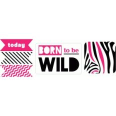 echo park born to be wild