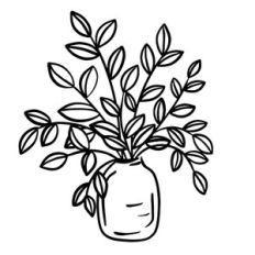 Plant In Vase