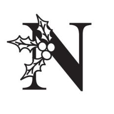 Letter N With Holly
