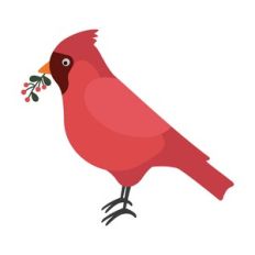 Red Cardinal