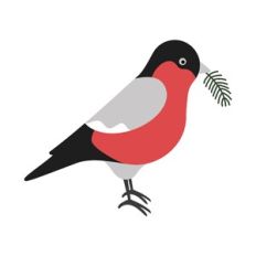 Bullfinch