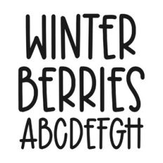 BFC Winter Berries Handwriting Farmhouse Font