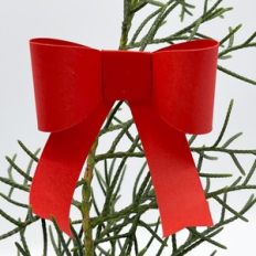 Ribbon Bow