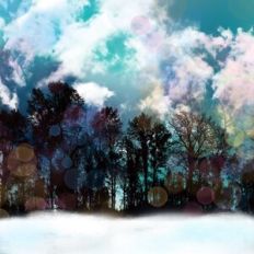 Cloudy Forest