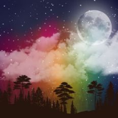 Rainbow Forest