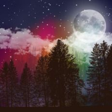Rainbow Forest