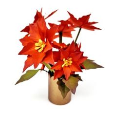 simple Poinsettia plant roll