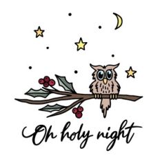 Christmas owl holy night