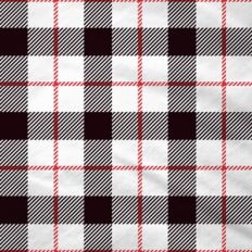 Winter Buffalo Plaid Pattern