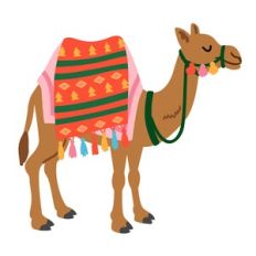 Camel Standing