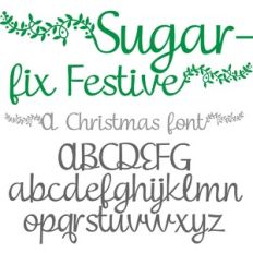 PN Sugarfix Festive