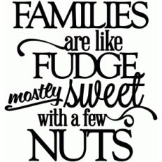 families are like fudge - vinyl phrase