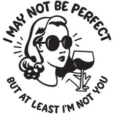 I'm not perfect, but at least I'm not you