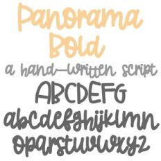 ZP Panorama Bold