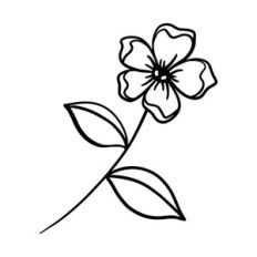 Flower On Stem