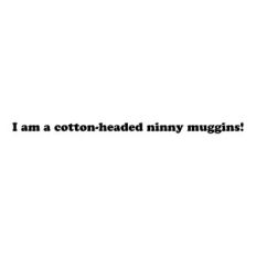 I'm a Cotton Headed Ninny Muggins