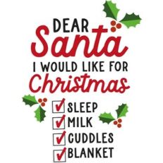 Christmas Baby Wish List