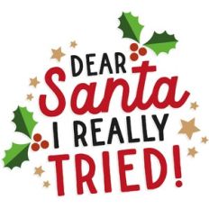Dear Santa I Really Tried!