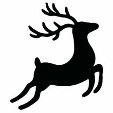 Flying Reindeer