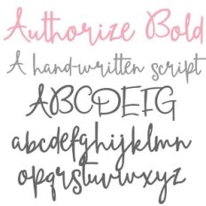 ZP Authorize Bold